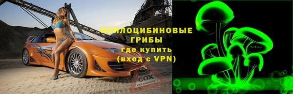 сатива Арсеньев