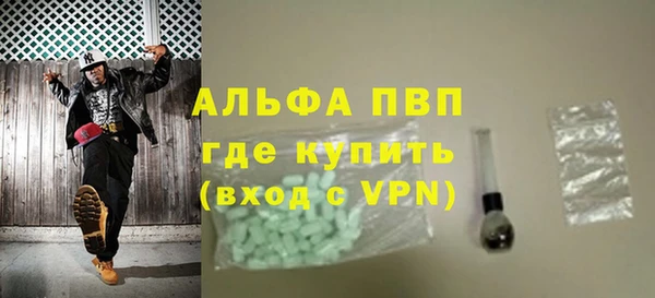 сатива Арсеньев