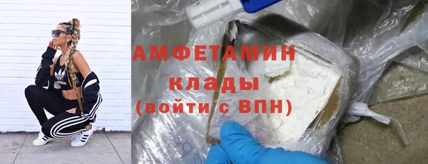 сатива Арсеньев