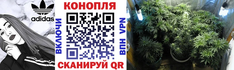 Бошки марихуана THC 21%  купить  сайты  shop телеграм  Уржум 